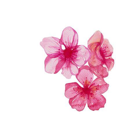 Celestial Blossoms: Star-Kissed Floral Array